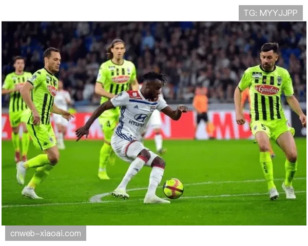 数据统计：布雷斯特门将完成9次扑救，创个人单场法甲纪录